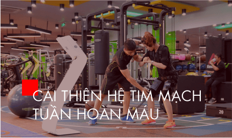 Dr.Fitness
